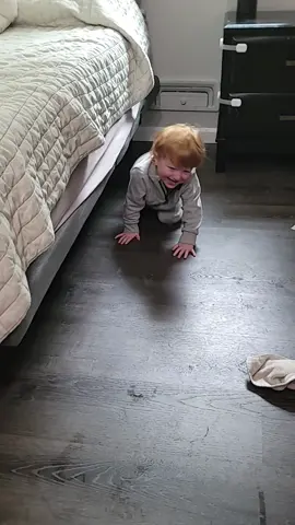 #frenchiesoftiktok #frenchie #puppy #puppytiktok #babylaugh #babiesoftiktok #playful 