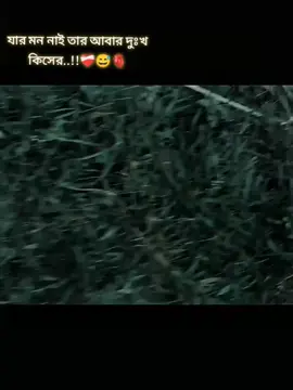 #creatorsearchinsights #ব্র্যান্ডের শহর রামগঞ্জ #capcut 