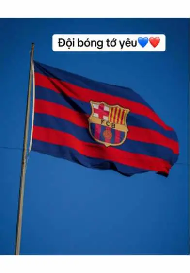 #fyp #viral #barca #culers #tiktok #xuhuong 