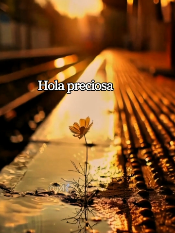 Hola preciosa mia, muy buenos días amor ☀️ #buenosdias  #amanecer  #frasesdeamor  #cosasdeparejas  #cosasdenovios  #frasesparadedicar  #videoparadedicar  #deamor  #frasesdeamor  #fyp 