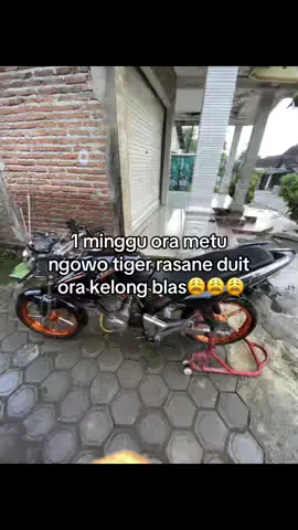 ngirit mack🗿#fyp #tigergank🚀 #tigergank🤙 #lewatberanda #agstyle🔥 #tigerss 