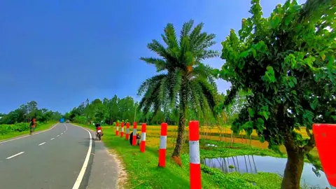 জানি সুন্দরের অহংকার একদিন ভাঙবে রে তোমার 😅💔🌸 #foryou #foryoupage #trending #viral #viralvideo #tiktok #capcut @TikTok @TikTok Bangladesh 