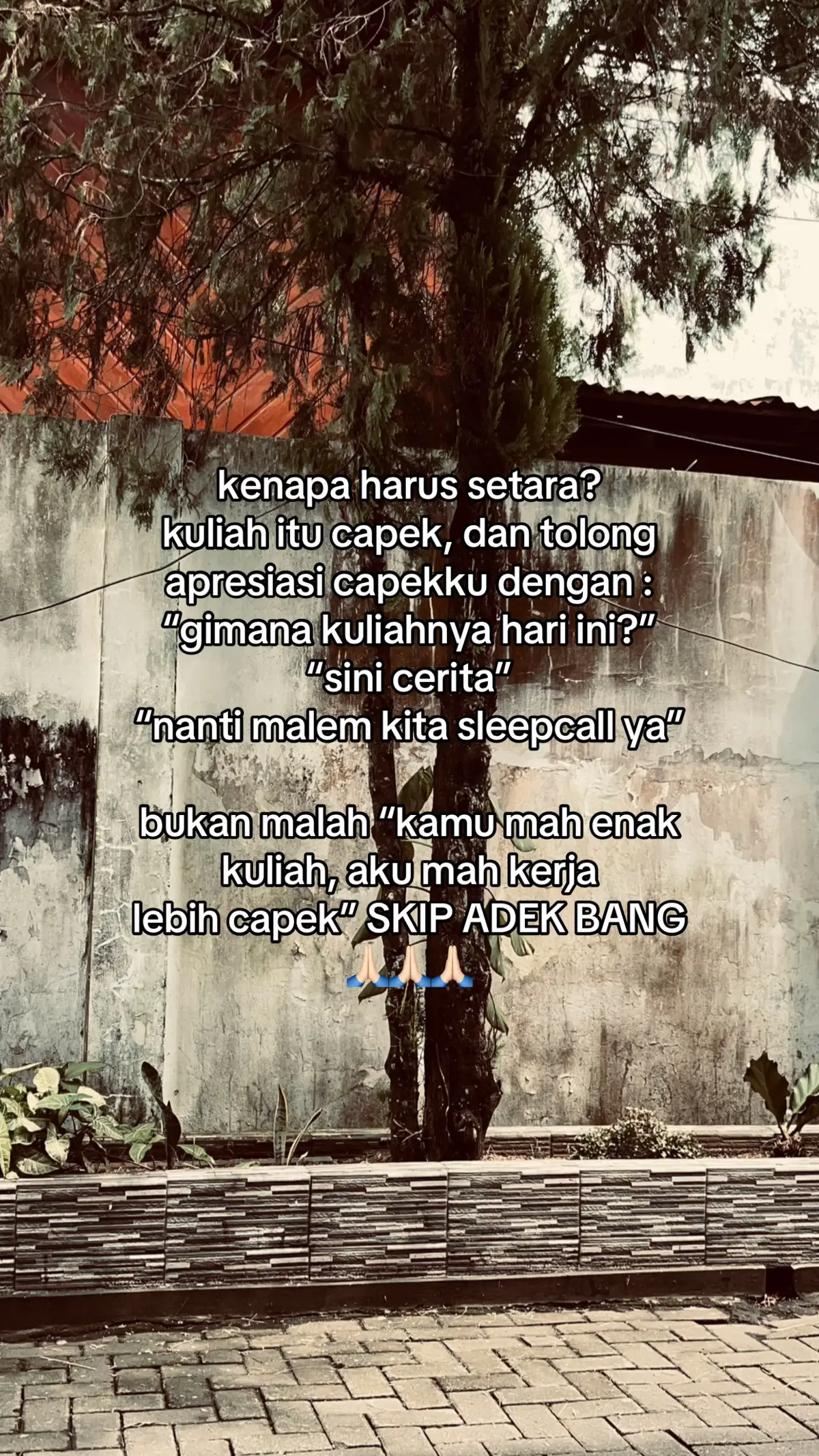 #fyp #kuliah #viral #zyxbca 