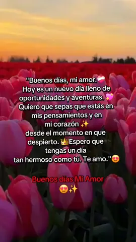 Buenos días mi amor 😍💘#buenosdiasmiamor #buenosdiasamorcito😍🥰😍 #dedicatorias💖con💖amor #paradedicar🙈❤️🙈 #foryoupage #tiktok #xuhuong #virallllllllllllll #dedica #sigueme @🔥Indirectas.🫦Hot❤️‍🔥 
