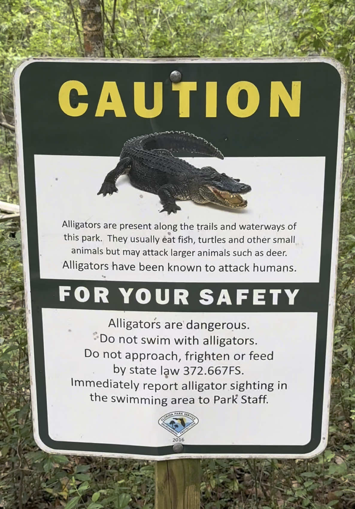 Petite visite à Ponce de Leon Springs!! ☔️🐊 I hope y all are having a great summer! #CapCut  #poncedeleonspringsstatepark #florida #fyp 