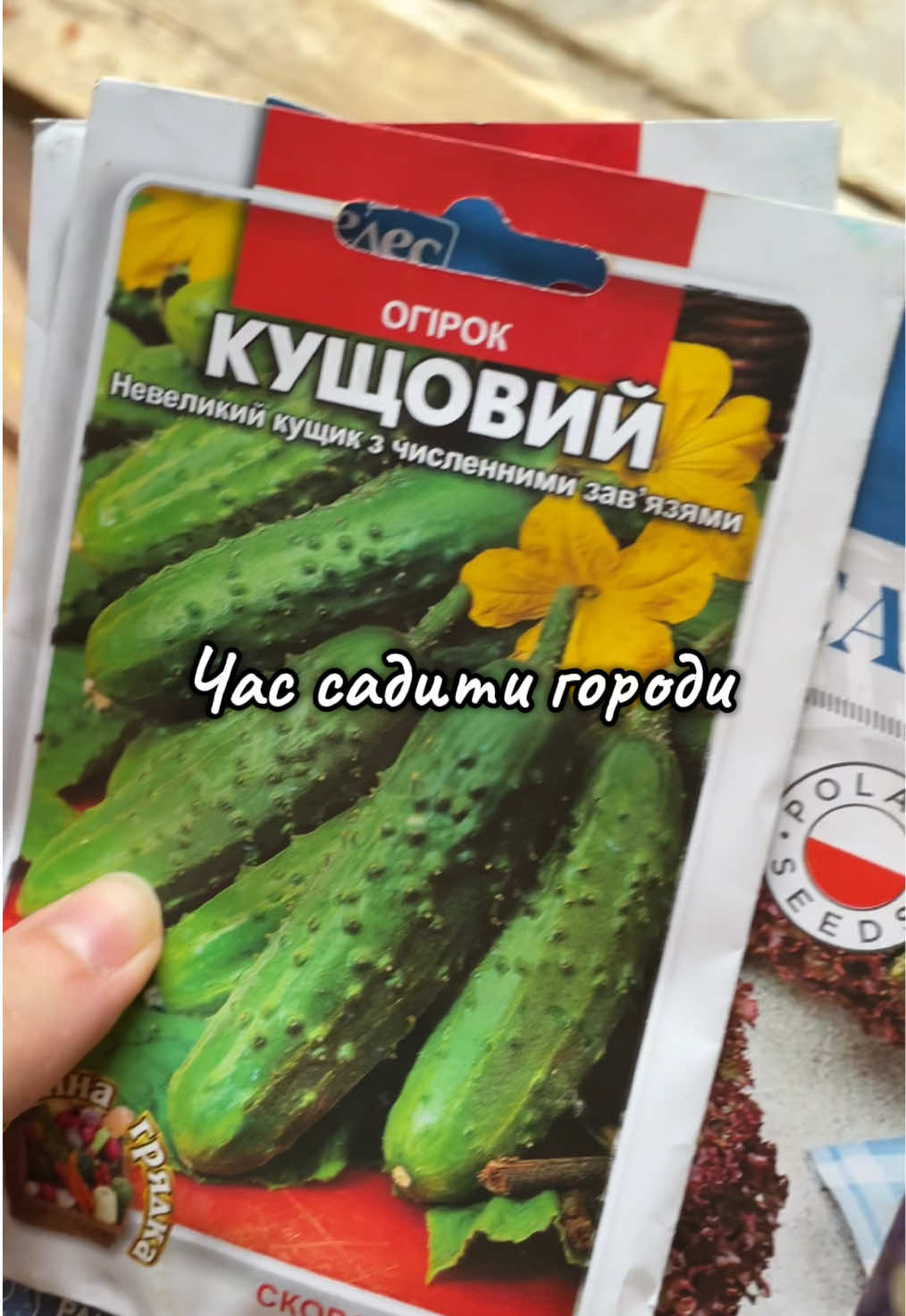 #гори #карпати #гуцули #город #веснування 