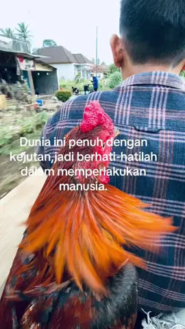 Dang mak beteduh🔥##lampungpride🔥##fyplampung##lampungviral##katakata##fyppppppppppppppppppppppp##lampung##lampungtimur