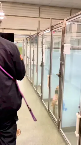 Go home … #videoviral #loveyou #loveanimals #foryou #animals 