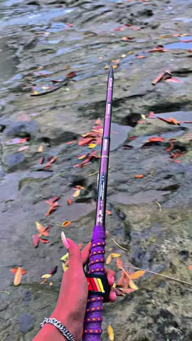 FS Izumi exceed P450 spek- •kolong neklin •set lurus  Tanya