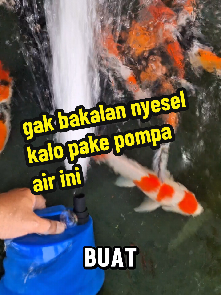 pompa air celup psp pompa air kolam dan aquarium #pompafilteraquarium #pompaaircelup #pompakolamikan #pompaair 