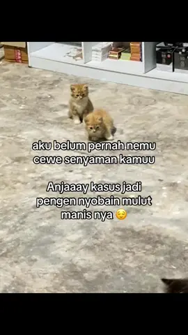 ⚠️⚠️⚠️
