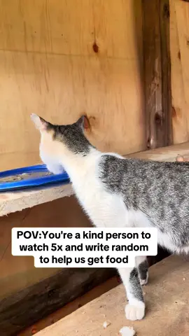POV:You're a kind person to watch 5x and write random to help us get food