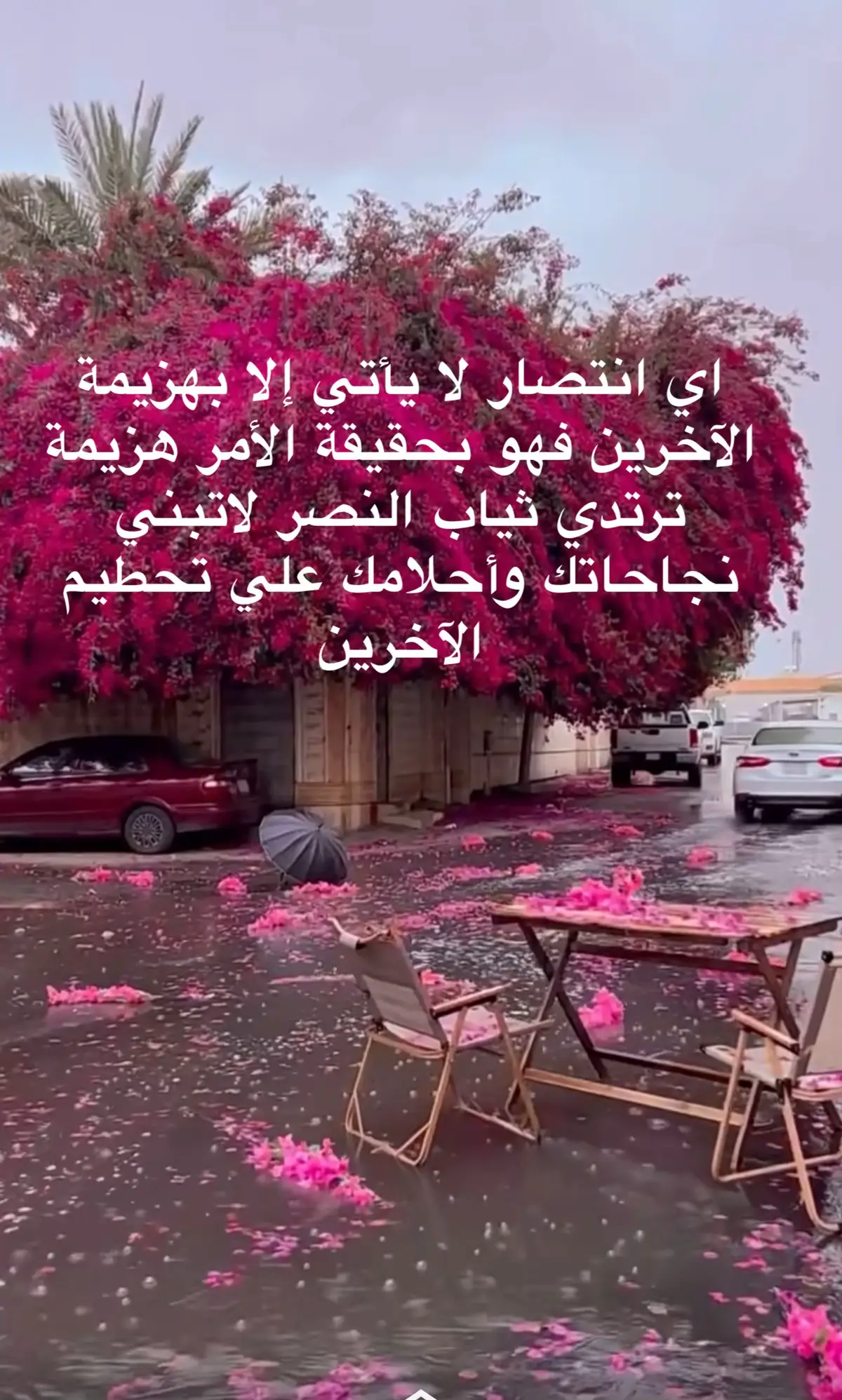 #creatorsearchinsights #رفع_العقوبات_عن_سوريا #السعودية #السعودية #الشعب_الصيني_ماله_حل #تيك_توك #سوريا🇸🇾 #قديمك_نديمك 