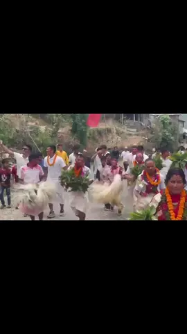#budhathokibrandchampadevi10 #💗💗💓 #dewali2082 #govairalvideo❤️❤️❤️❤️❤️ #kulpooza2082 #kulpooza #gaughar @SUBASH BUDHATHOKI @rajkumarbudhatho50 @S_h_y_a_m @Arjun budhathoki @💔💔 