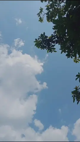 #CapCut #fypage #fypシ゚ 