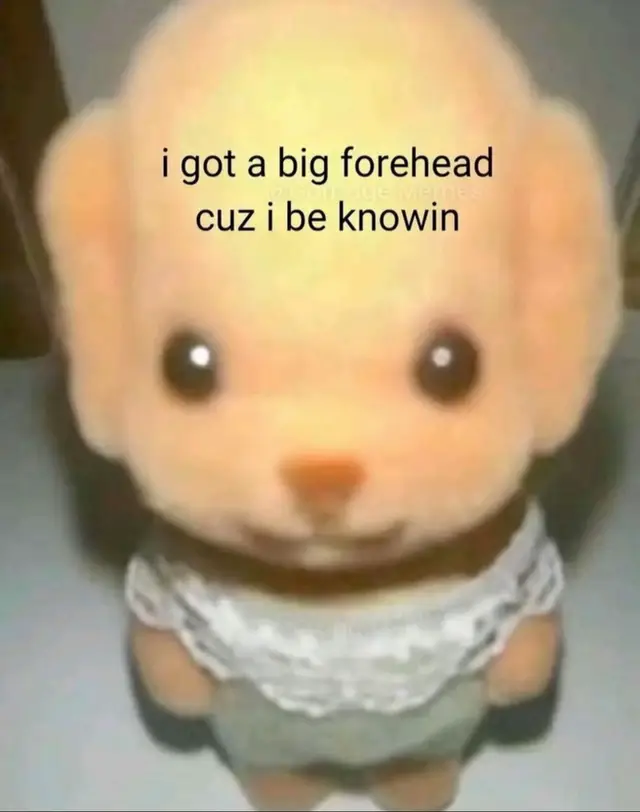 sumelanin sifresi ben ve temel reiste gizli 😶‍🌫️ #pourtoi #sylvanianfamilies #fyp 