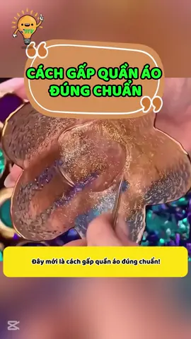 CÁCH GẤP QUẦN ÁO ĐÚNG CHUẨN #meohaycuocsong #meohaymoingaysdtv #LearnOnTikTok #meohaymoingay