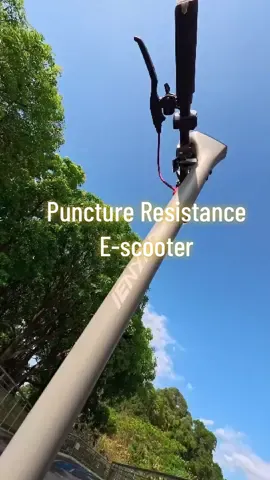 Still looking for an electric scooter puncture-proof? Don’t miss this sleek iENYRID M1😎 #ienyrid #ienyridm1 #escooter #electricscooter #scooter #sunny #scooterlife #rider #twowheels #cleanenergy #EcoFriendly #fyp #viralvideos 