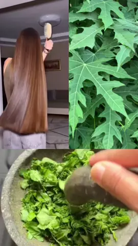 Rambut hampir botak cepat oles ini  #hair #rambutrontok #rambutrusak 
