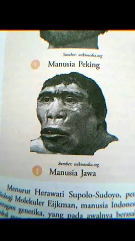 Jawa kentel ga ada mix” an #CapCut #jawapride #wongjowo 