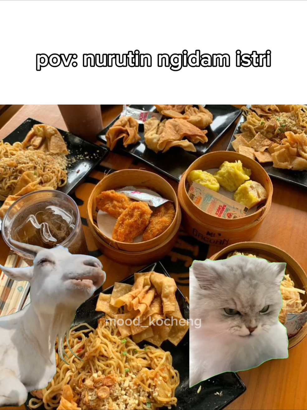 suami soleh #memekucing #fyp 