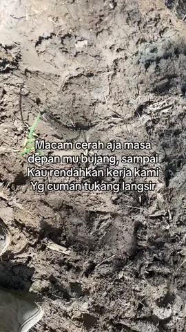 Omongan orang beduit#foryou #fyp #lewatberanda #sawitbalap #sawitontiktok 