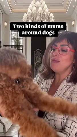 Which one are you? #ArabTikTok #comedy #standupcomedian #doglovers #middleeastern #lebanesemum 