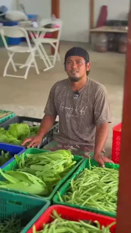 #ketahananpangan #petaniorganik #organic #sayurorganik #madiun #bayusehatmandiri #bayudiningrat #pupukorganik 