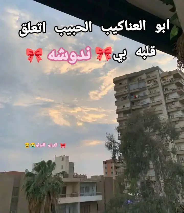 العنكبوت النونو خطفت قلبو عنكبوته فويس