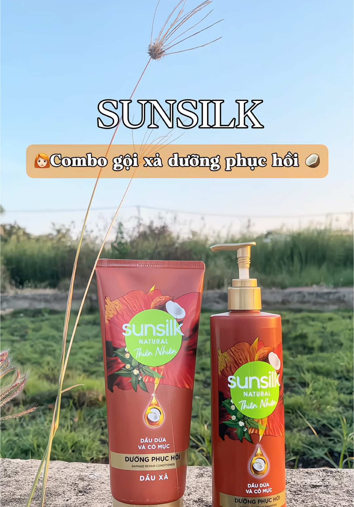 ✨Combo gội- xả dưỡng phục hồi Sunsilk 🥥 Thơm mê 😍 #sunslik #daugoiphuchoi #combogoixa #reviewlamdep #daugoithiennhien #goclamdep #chamsoctoc #tocdepmoingay #review #xh 