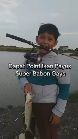 Dapat Ikan Payus Super Babon gays,, #jangkauanluas #fypage #hobimancing #mancingliar 