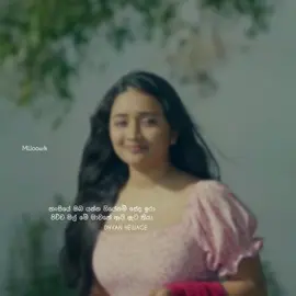 සල්පිලේ මට ලන්සු තිබේනම් ඇට කියා …. 😩🧡 @Dhyan Hewage - Sedadare  #sedadare#dhyanhewage#froyo #froyoupage #ternding #viralvideo #live #piyabannahse#froyo #viralvideo 