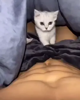 lucky #cat #fyp #foryou #chinese #🇨🇳🇨🇳 #douyin抖音 #boy #muscle #GymTok #gymmotivation🏋️‍♀️ #mytype #back #pose #viral #fypシ゚ #foryou 