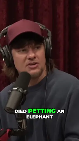 #fyp #viral #foryoupage #theovon #joerogan #standupcomedy #podcast #comedian #funny 