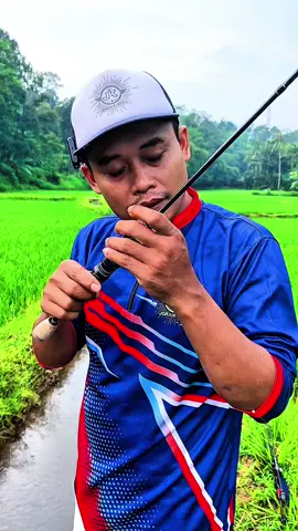 Joran ultralight pasifik lock seat kliker #jorankitaofficial #mancingmania #hobimancing #joranpancing 