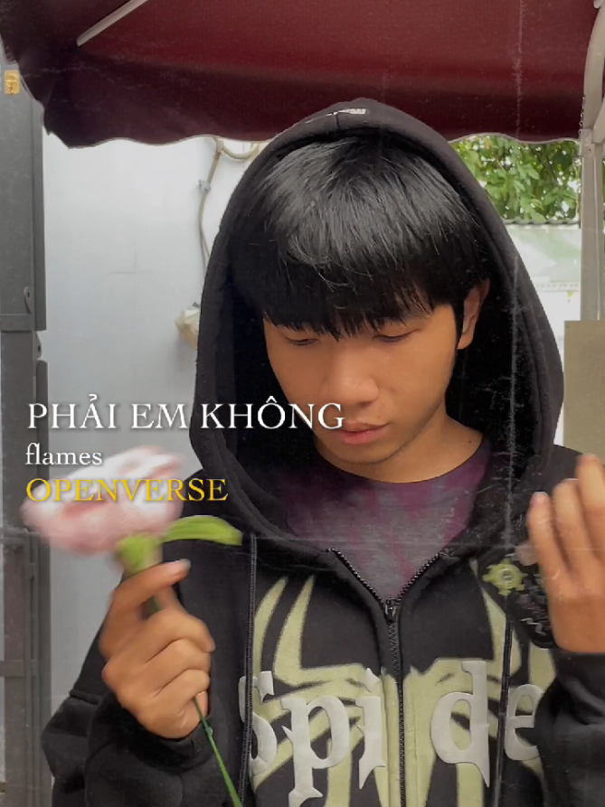 PHẢI EM KHÔNG - flames 