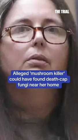 Alleged ‘mushroom killer’ could have found death-cap fungi near her home Listen to all this and more in the latest episode of The Trial of Erin Patterson, for a deep dive into the the ongoing trial #crime #crimetok #crimestories #mushroom #fungi #australia #dailymail #fyp 