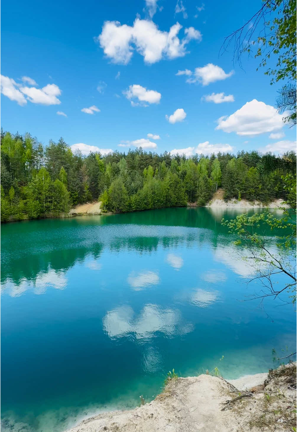 В гостях у природы 👀🌲