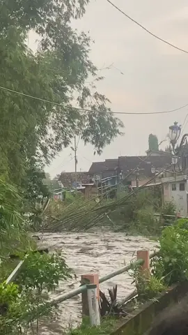 Kali Gajahwong atas Dam Sidobali dapuran pring keli #jogja24jam #kaligajahwong #jogjakarta 