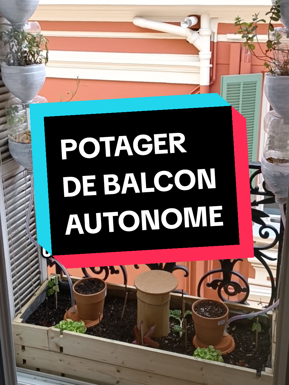 Un Potager 100% Autonome sur un Mini Balcon 🌱 | Plus besoin d'arroser tous jours ! Découvrez comment j’ai transformé mon mini balcon en un potager totalement autonome, qui s’arrose tout seul et produit son propre engrais ! 🌿💧 Avec un système ingénieux d’arrosage en cascade, des Oyas faites maison et un mini lombricomposteur en bambou, j’arrose une fois par semaine seulement. Et même en vacances, tout reste hydraté grâce à un goutte-à-goutte de 5L. Économie d’eau, zéro gaspillage et engrais naturel… le tout sur un mètre carré ! 🌍✨ 👉 Envie de reproduire ce potager chez toi ? Abonne-toi pour ne rien manquer des prochains tutos sur ce balcon pas comme les autres ! #potagerurbain #jardinurbain #permaculture #potagerbalcon #irrigation  #balcon #lombricomposteur #autonomiealimentaire #ecologie #DIY #jardinage #savewater  #oya #recyclage   #sustainablegardening #selfsufficientliving #permaculturedesign #48hAU #agricultureurbaine #VilleComestible 