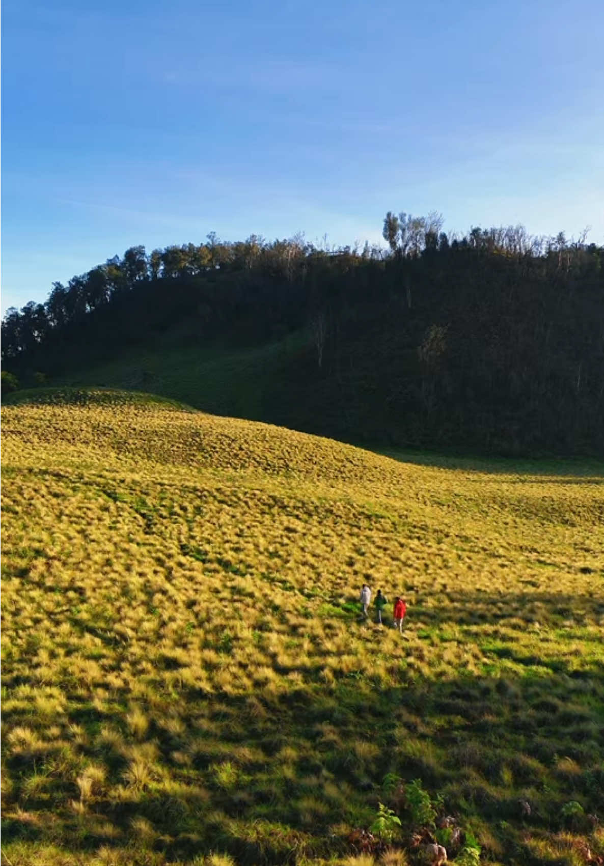 Sabana Buthak secandu itu🥹😭 #folkindonesia #gunungindonesia #buthak #exploregunung #pesonaindonesia #folkscenery #eastjava 