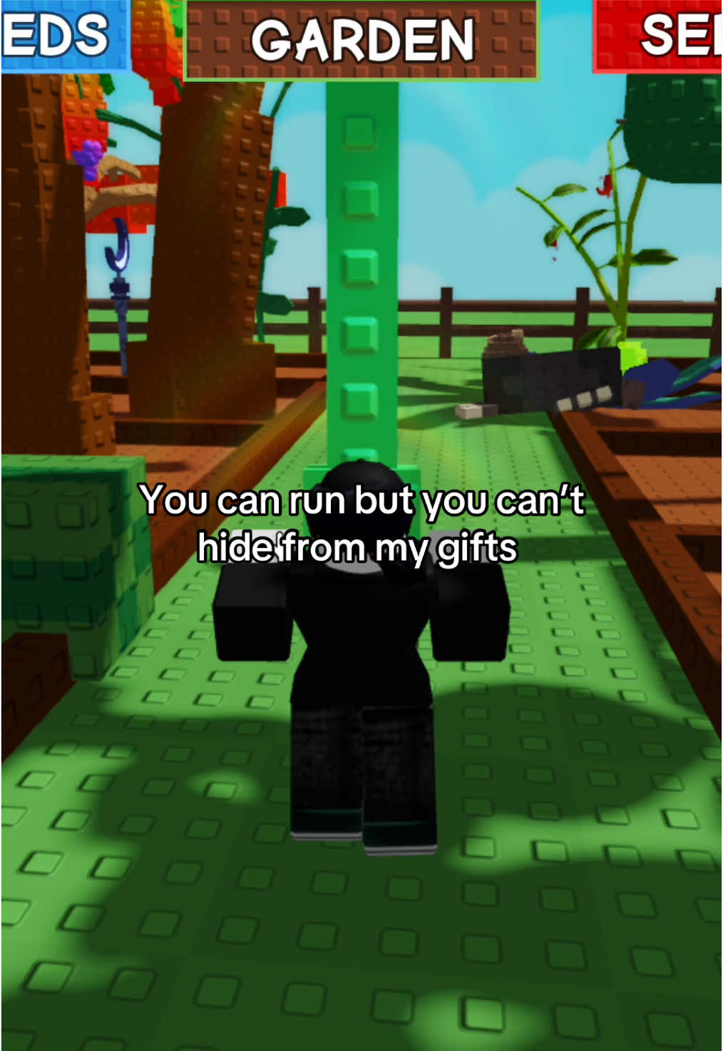 Now it’s my turn to hide when u gift me#foryou #fyp #goviral #fypppppppppppppp #viral #08 #robloxfyp #vietnam #growagarden #growagarden🥒🌶🍅 #pookie #bffs #bro 
