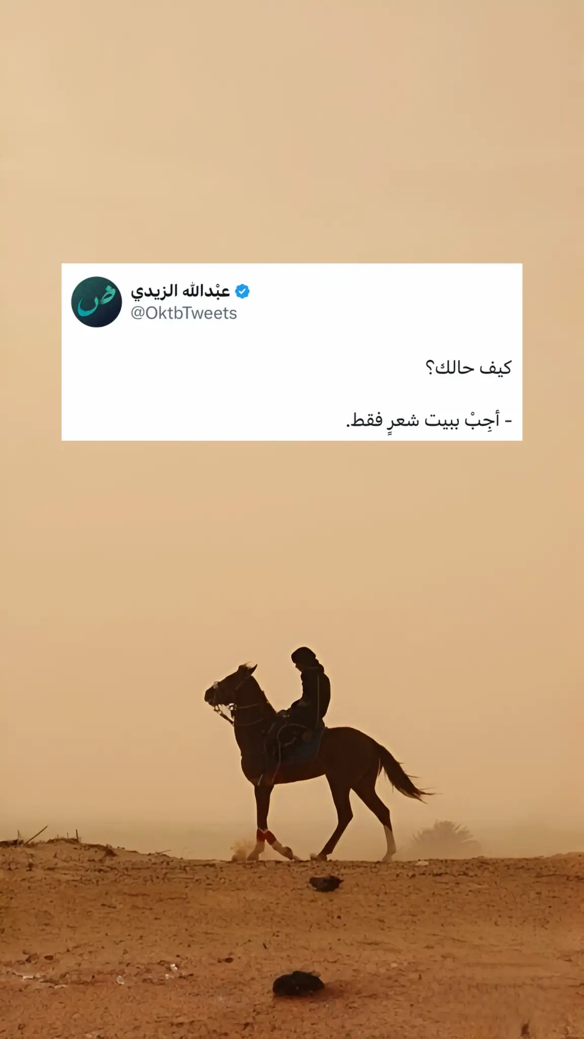 #شعر #اكسبلور #فصحى 