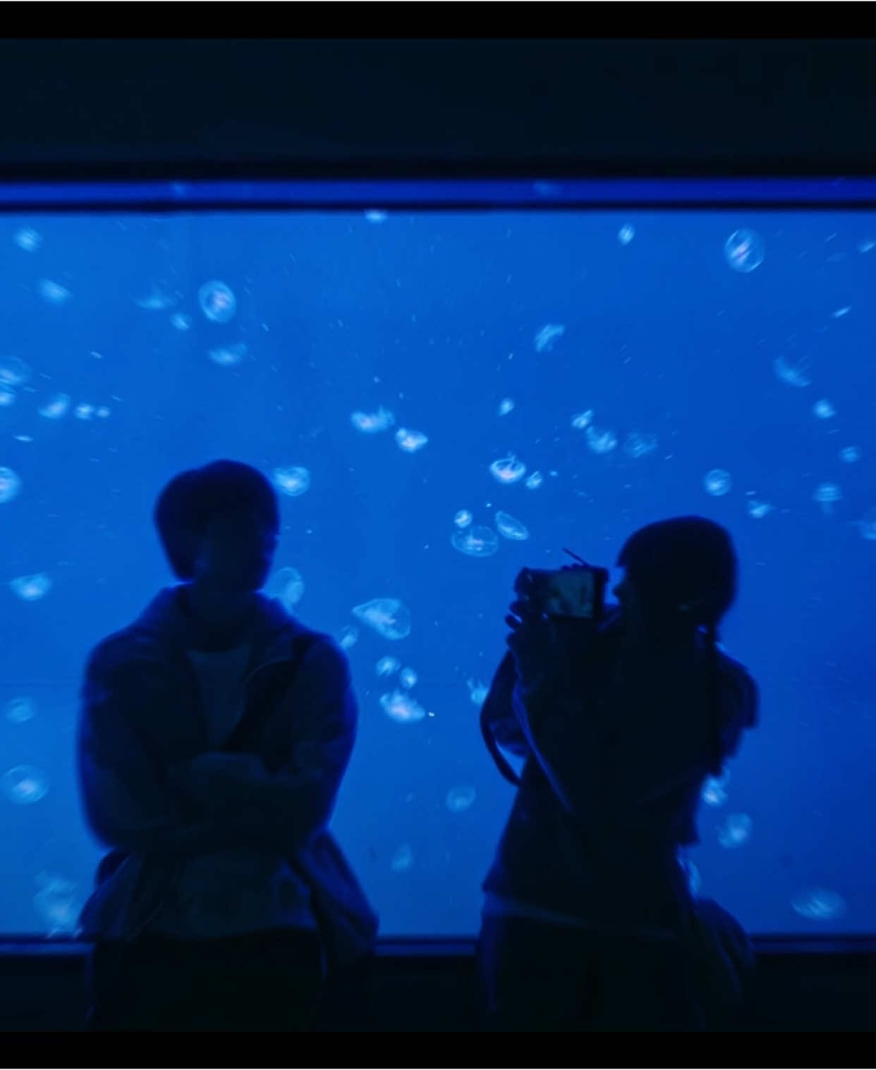⎯ ୨ #WHENIFLYTOWARDSYOU ୧ ⎯ my parents scp: munscenes tags: #zhangmiaoyi #张淼怡 #zhouyiran #周翊然 #suzaizai #zhanglurang #zaizai #rangrang #wheniflytowardsyouedit #我奔向你 #wifty #cdrama