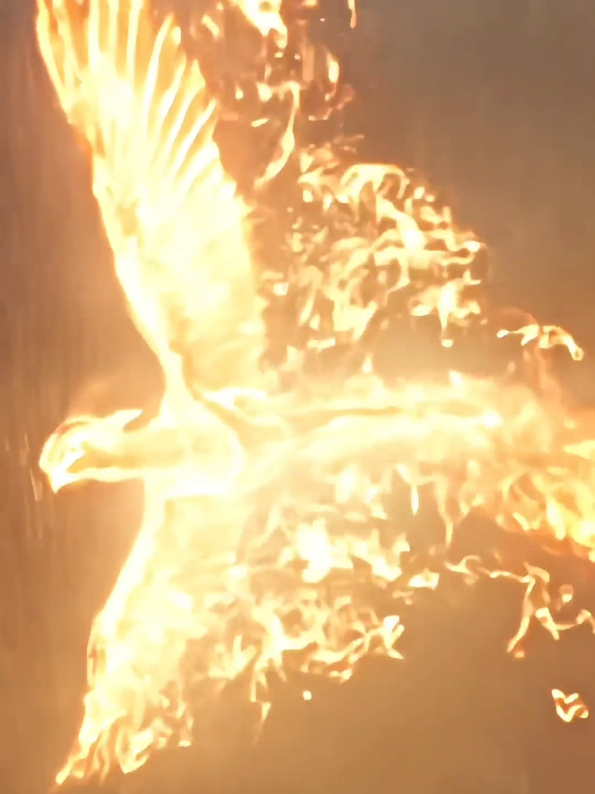 Firebird Saves Ivan 🔥💫⚡️ #firebird #foryoupage #adventure #action #foryoupageofficiall #viralvideo #waitandwatch01 