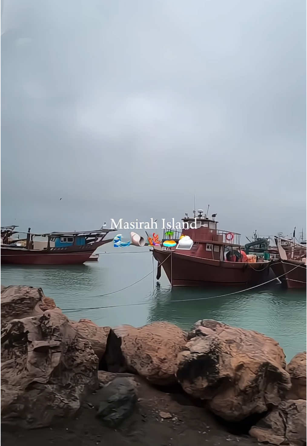 جزيرة مصيرة 🌊🐚                                   #فلوق #مصيرة #minivlog #fyp #explore #رحلة_بحرية 