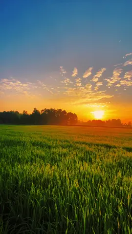 #CapCut Chill 1 video sunrise . #radiothugian #californiacation #sunrise #chill 