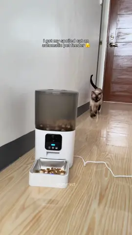 setting up our automatic pet feeder with built-in camera 🐾  #catsoftiktok #siamese #cats #petfeeder #catlife #fyp 