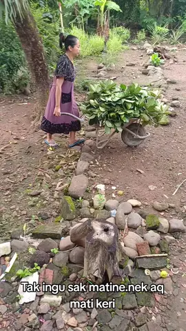 loosss