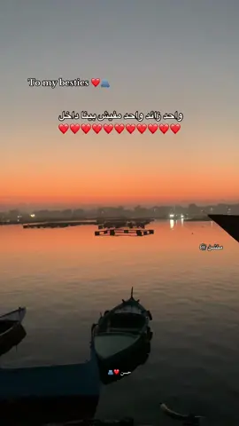 واحد زائد واحد مفيش بينا داخل ❤️🫂#ramysabry #foryou #explore #fyyyyyyyyyyyyyyyy #fy #1million #رشيد 